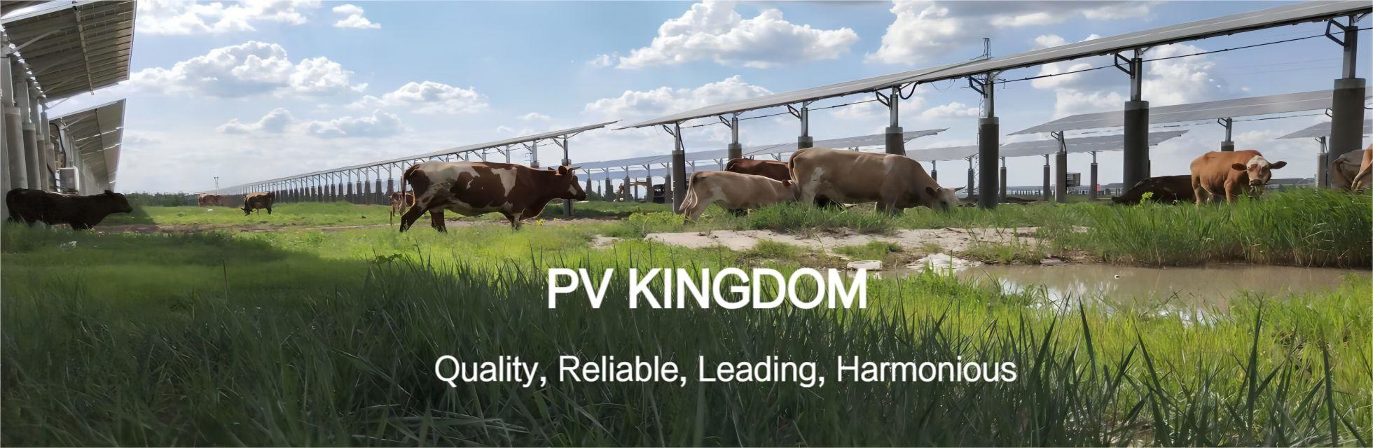 calidad Sistema solar en el techo fábrica